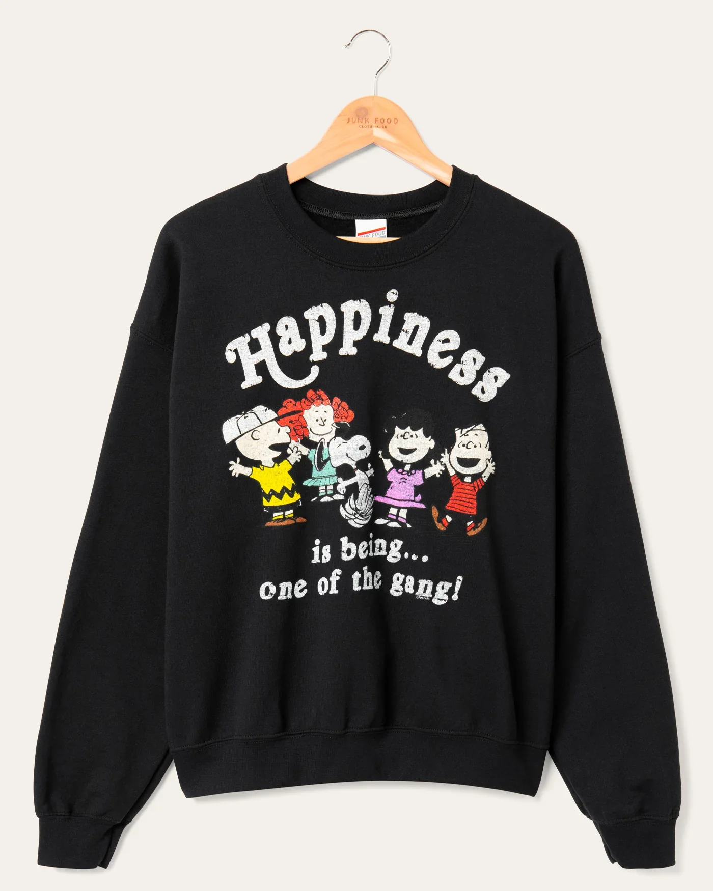UNISEX PEANUTS ONE OF THE GANG SWEATSHIRT